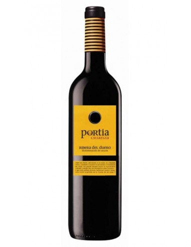 VI PORTIA NEGRE CRIANÇA