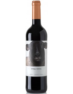VI OVEJA TINTA GRACIANO