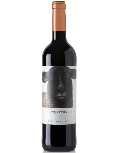 VI OVEJA TINTA GRACIANO