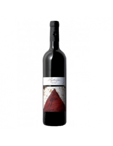 VI PARTICULAR GARNACHA CZA MAGNUM NEGRE