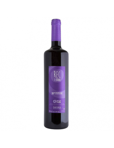 VI REC DE BRAU NEGRE
