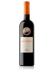 VI MALLEOLUS NEGRE EMILIO MORO
