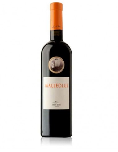 VI MALLEOLUS NEGRE EMILIO MORO