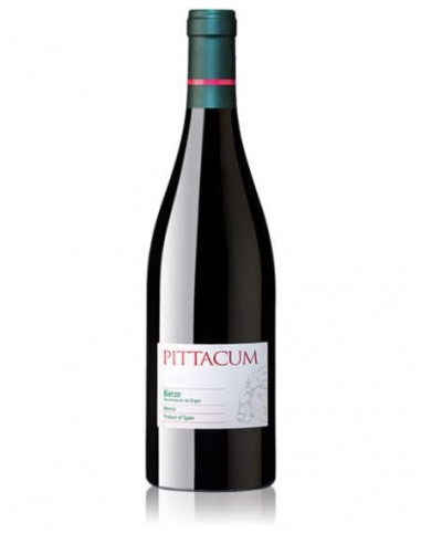 VI PITTACUM NEGRE