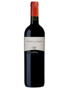 VI POGGIO AL GINEPRI...