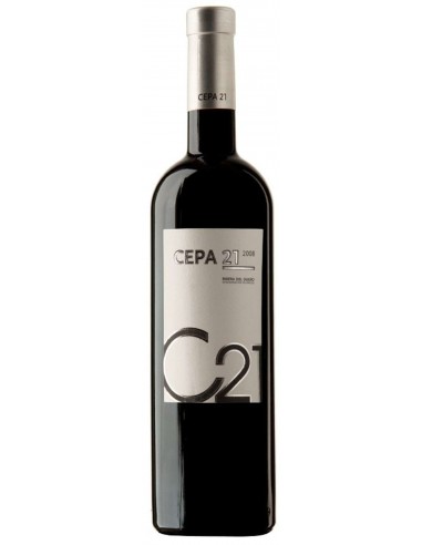 VI CEPA 21NEGRE