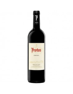 VI PROTOS NEGRE CRIANÇA