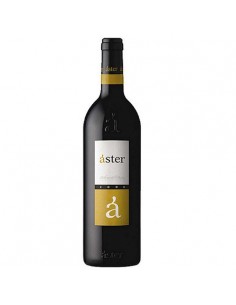 VI ASTER NEGRE CZA.