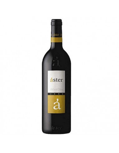 VI ASTER NEGRE CZA.