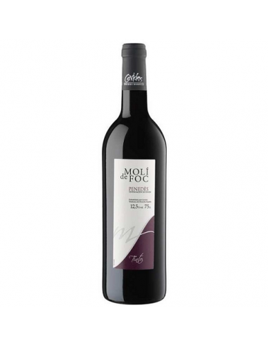 VI MOLI DE FOC NEGRE TEMPRANILLO