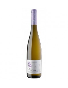 VI PINORD MIREIA BLANC