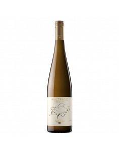 VI TORRES WALTRAUD BLANCO