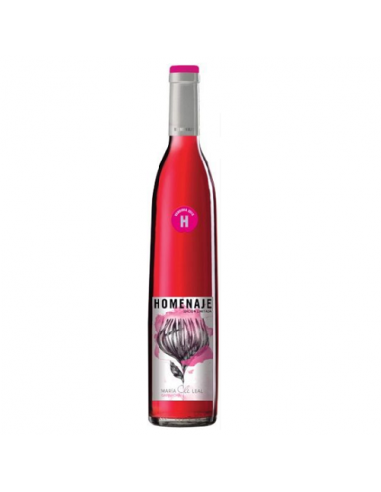 VI HOMENAJE ROSADO