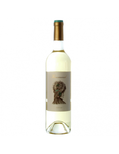 VI FENOMENAL VERDEJO BLANC