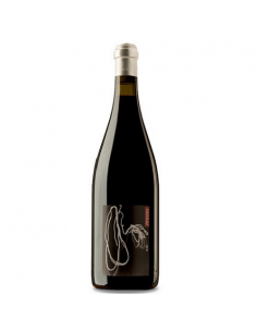 VI AROTXO 2013 NEGRE