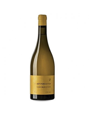 VI JOSEP FORASTER BLANC BARRICA
