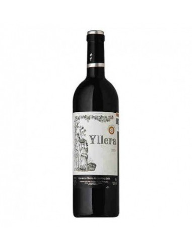 VI YLLERA NEGRE 12 MESES EN BARRICA