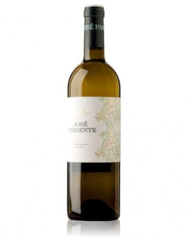 VI JOSE PARIENTE SAUVIGNON BLANC