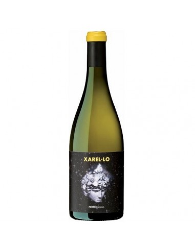 VI ATRAPAESTELS NEGRE 2018