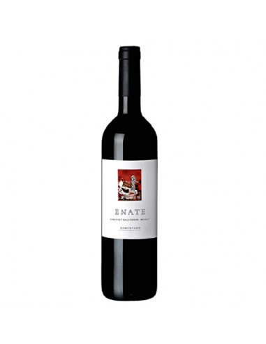 VI ENATE CAB MERLOT JOVE NEGRE