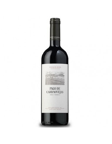 VI ORBUS NEGRE 2015
