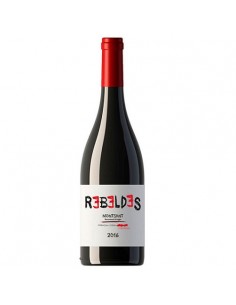 VI REBELDES NEGRE