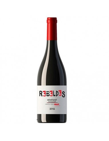 VI REBELDES NEGRE