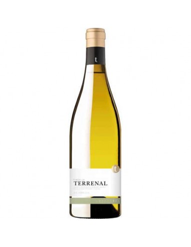 VI LA TERRENAL  BLANC 2014  DE EDETARIA 