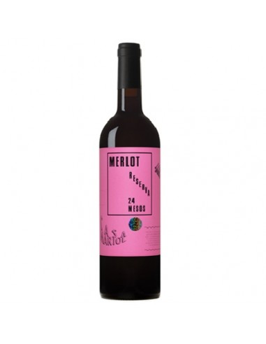 VI CASA MARIOL MERLOT RESERVA