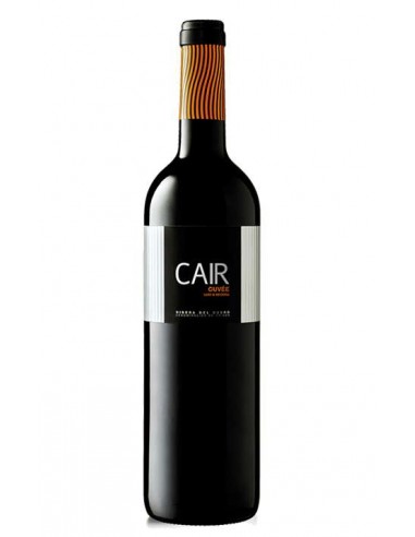 VI DOMINIO DE CAIR CUVEE NEGRE