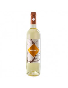 VI RIBEIRO CAMPANTE BLANC