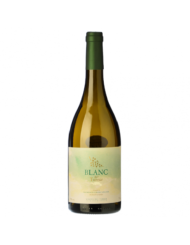 TINITA VIÑAS VIEJAS VERDEJO