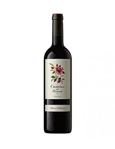 VI CAMINS DEL PRIORAT NEGRE
