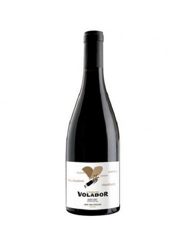 VI L EFECTE VOLADOR NEGRE