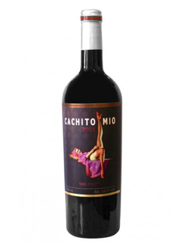 VI CACHITO MIO NEGRE