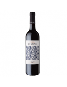 VI CERCIUM NEGRE