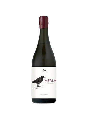 VI MERLA NEGRE ECOLOGIC