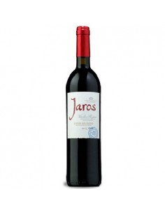VI JAROS NEGRE CRIANÇA