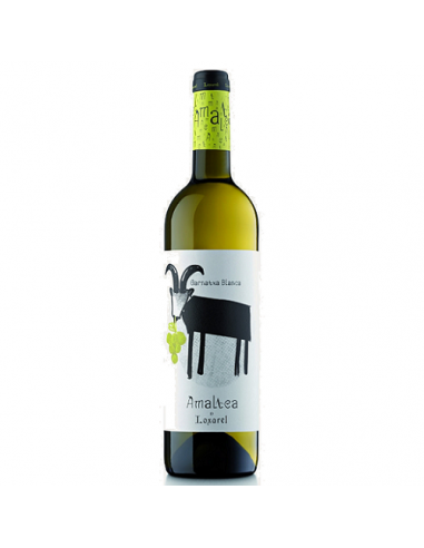 VI AMALTEA BLANC ECOLOGICO
