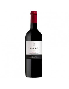 VI CRUOR NEGRE 2016  PRIORAT