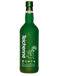 JARABE TEICHENNE MENTA SIN...