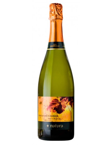 CAVA PINORD NATURA ECOLOGICO 75 CL