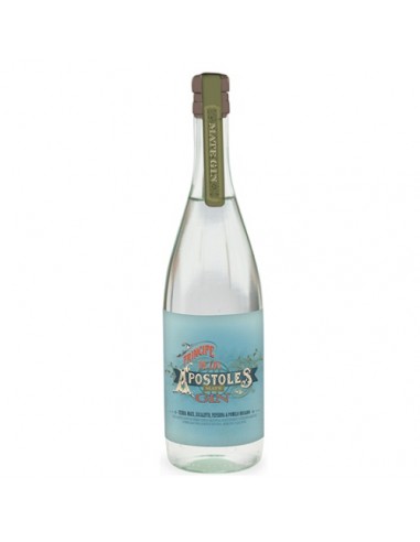 GIN PRÍNCIPE DE LOS APOSTOLES