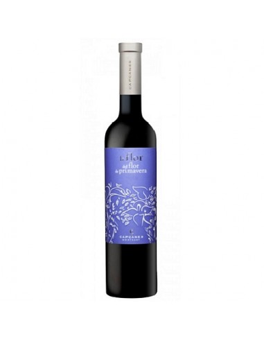 VI KOSHER FLOR DE PRIMAVERA CRIANÇA...