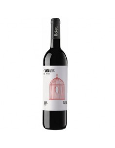 VI BOLET NEGRE CANTARELUS...