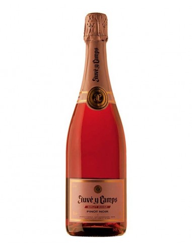 CAVA JUVE CAMPS ROSE BRUT PINOT NOIR...