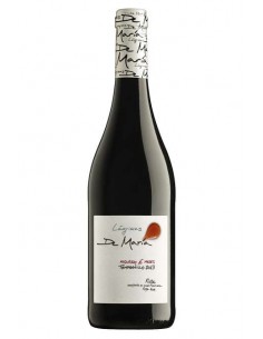 VI LAGRIMAS DE MARIA...