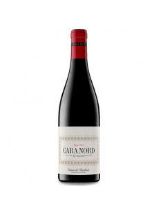 VI CARA NORD NEGRE CONCA...