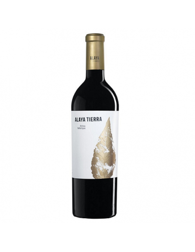 VI ALAYA TIERRA