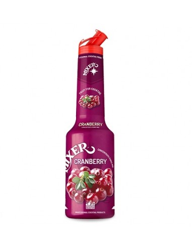 PURE DE FRUTAS MIXER ARANDANOS LITRO